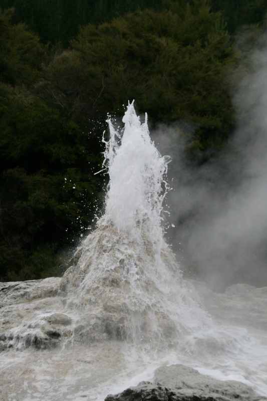 Nieuw-Zeeland 2011 - 0670